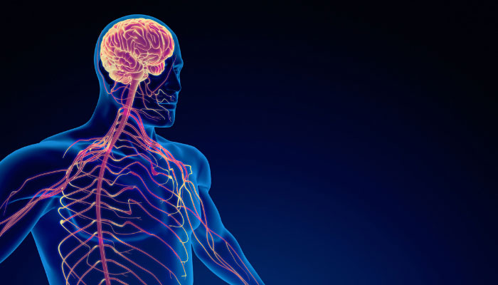Psiconeuroimmunologia Clínica (PNIc)